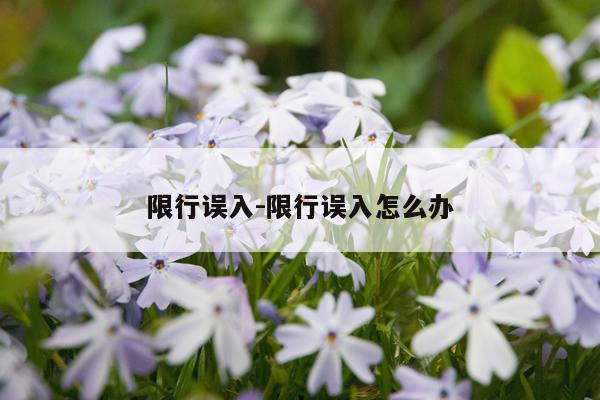 限行误入-限行误入怎么办