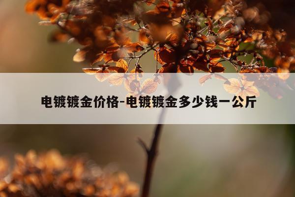电镀镀金价格-电镀镀金多少钱一公斤