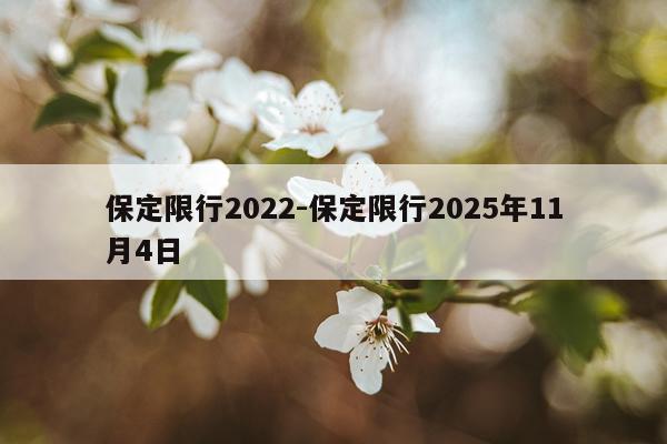 保定限行2022-保定限行2025年11月4日