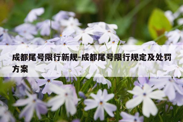 成都尾号限行新规-成都尾号限行规定及处罚方案