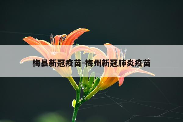 梅县新冠疫苗-梅州新冠肺炎疫苗