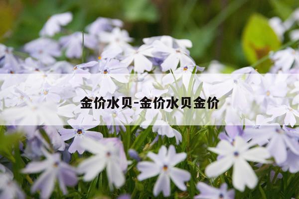金价水贝-金价水贝金价
