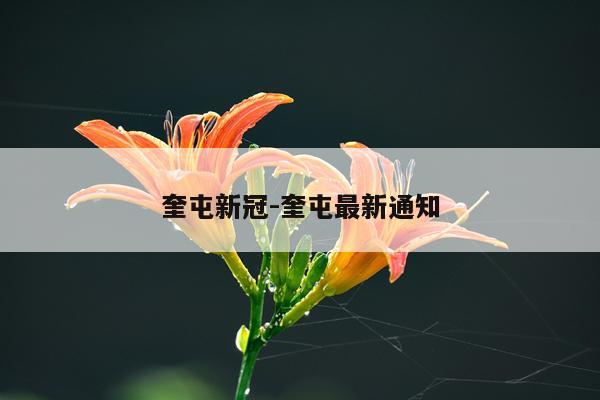 奎屯新冠-奎屯最新通知