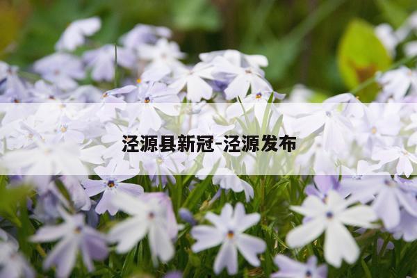 泾源县新冠-泾源发布