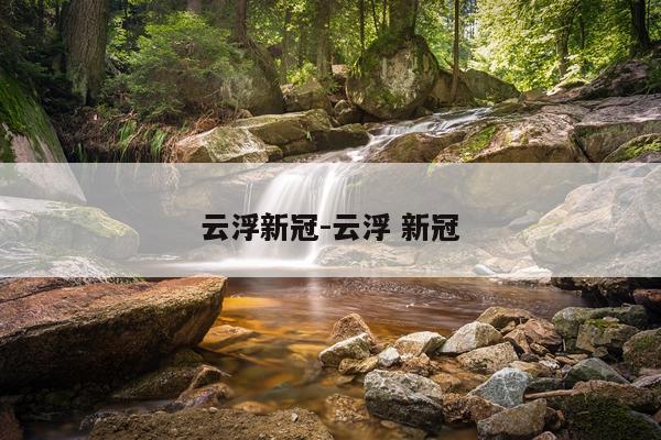 云浮新冠-云浮 新冠