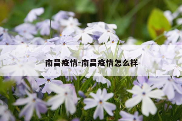 南昌疫情-南昌疫情怎么样