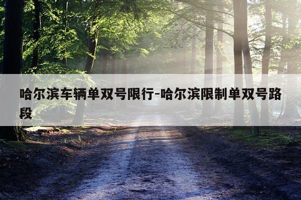 哈尔滨车辆单双号限行-哈尔滨限制单双号路段