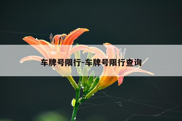 车牌号限行-车牌号限行查询
