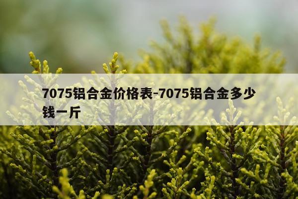 7075铝合金价格表-7075铝合金多少钱一斤