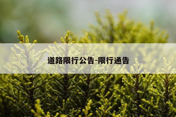 道路限行公告-限行通告