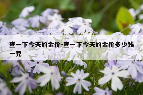 查一下今天的金价-查一下今天的金价多少钱一克