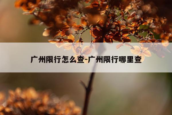 广州限行怎么查-广州限行哪里查