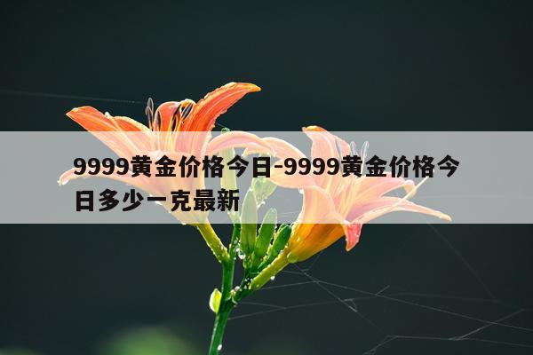 9999黄金价格今日-9999黄金价格今日多少一克最新