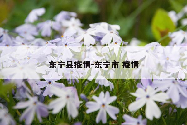 东宁县疫情-东宁市 疫情