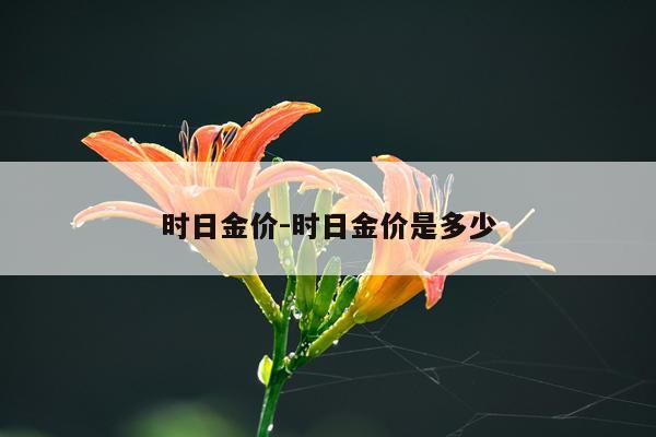 时日金价-时日金价是多少