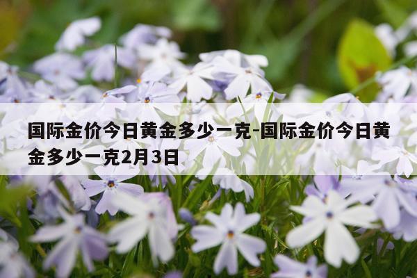 国际金价今日黄金多少一克-国际金价今日黄金多少一克2月3日