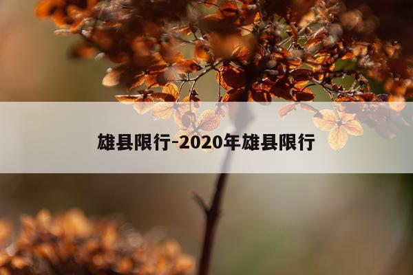 雄县限行-2020年雄县限行