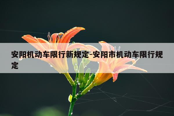 安阳机动车限行新规定-安阳市机动车限行规定