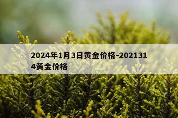 2024年1月3日黄金价格-2021314黄金价格