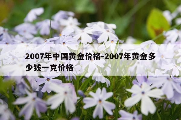 2007年中国黄金价格-2007年黄金多少钱一克价格