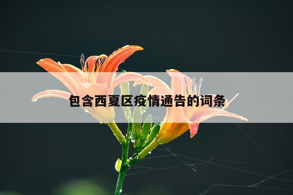 包含西夏区疫情通告的词条