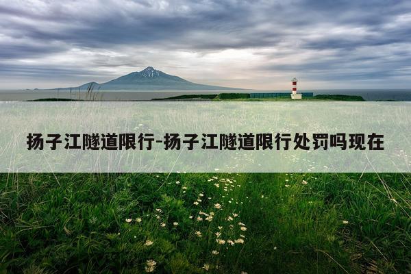 扬子江隧道限行-扬子江隧道限行处罚吗现在