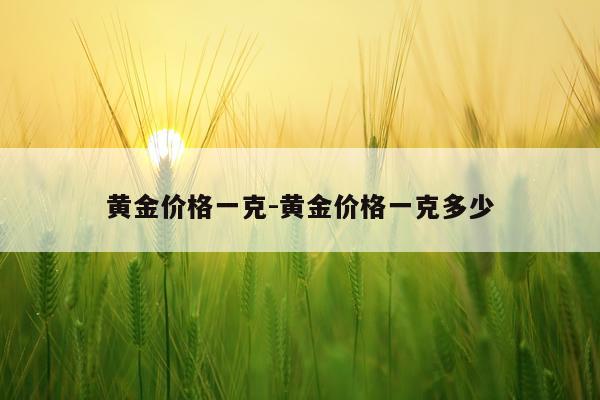黄金价格一克-黄金价格一克多少