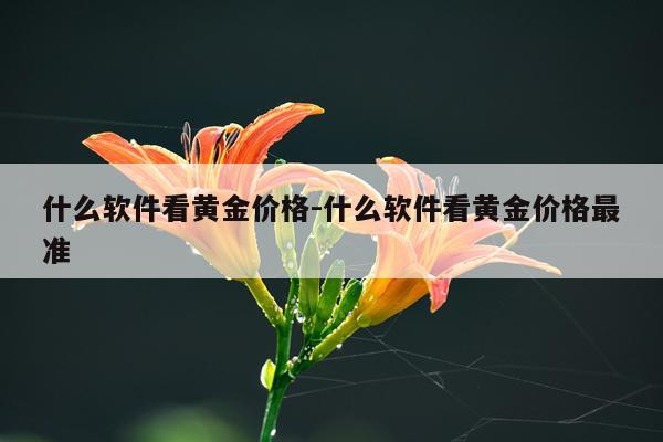 什么软件看黄金价格-什么软件看黄金价格最准