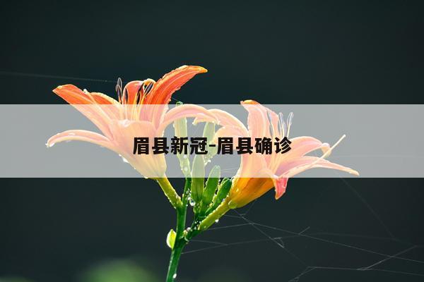 眉县新冠-眉县确诊