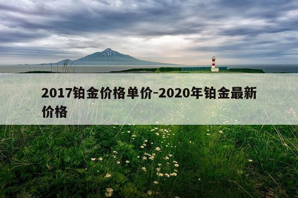 2017铂金价格单价-2020年铂金最新价格