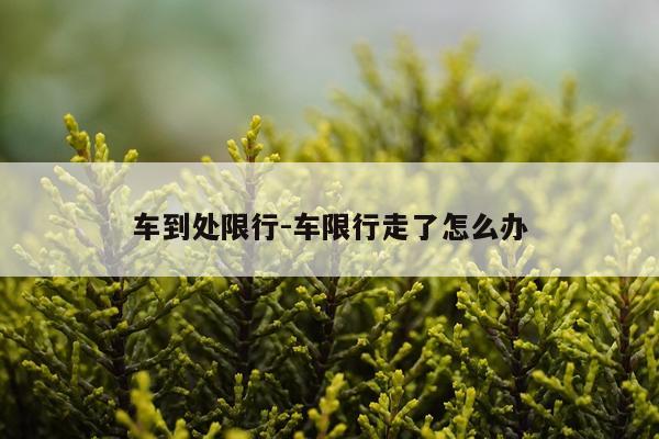 车到处限行-车限行走了怎么办