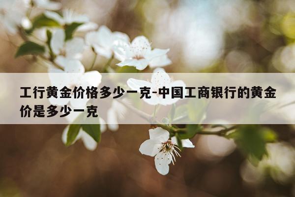 工行黄金价格多少一克-中国工商银行的黄金价是多少一克