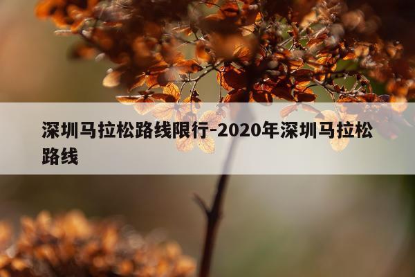 深圳马拉松路线限行-2020年深圳马拉松路线