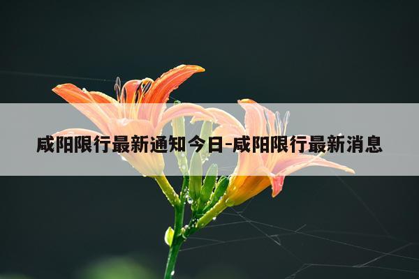 咸阳限行最新通知今日-咸阳限行最新消息