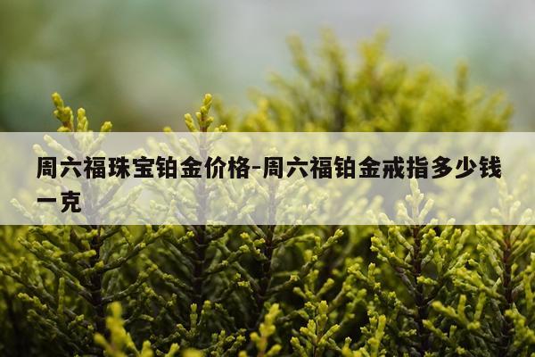周六福珠宝铂金价格-周六福铂金戒指多少钱一克