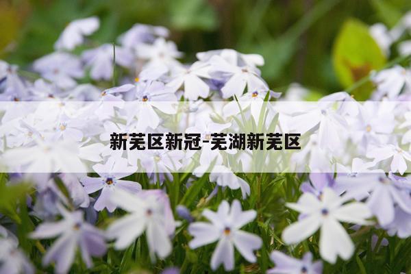 新芜区新冠-芜湖新芜区