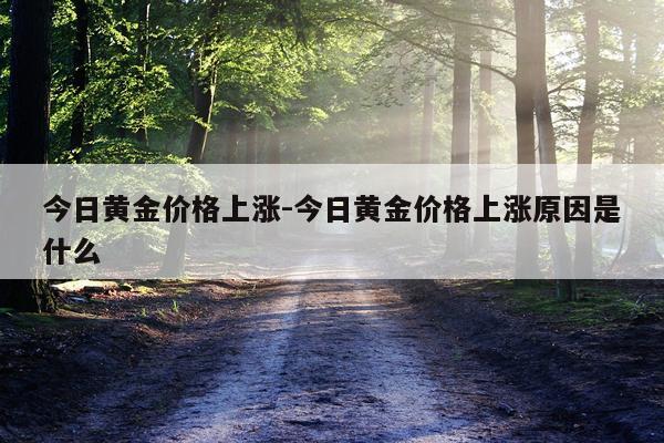 今日黄金价格上涨-今日黄金价格上涨原因是什么