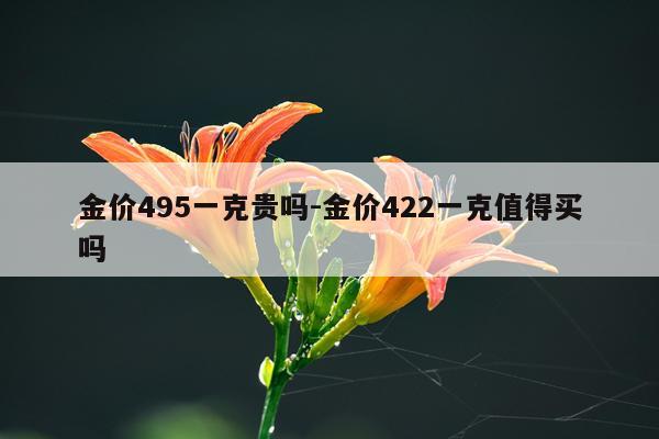 金价495一克贵吗-金价422一克值得买吗