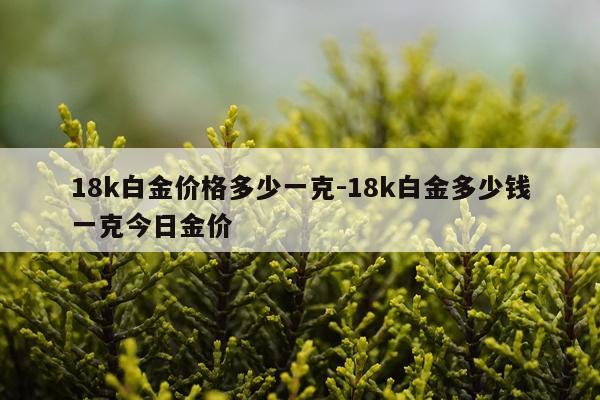 18k白金价格多少一克-18k白金多少钱一克今日金价