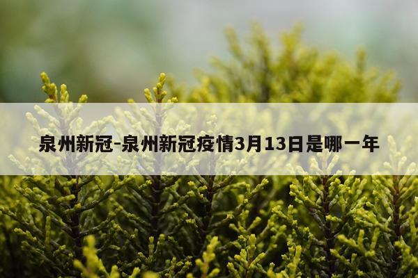 泉州新冠-泉州新冠疫情3月13日是哪一年