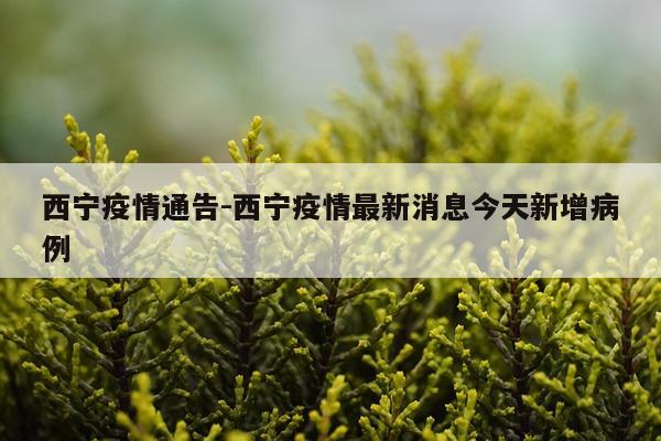 西宁疫情通告-西宁疫情最新消息今天新增病例