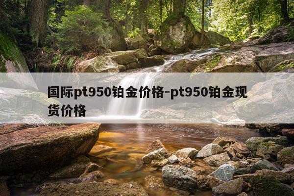 国际pt950铂金价格-pt950铂金现货价格