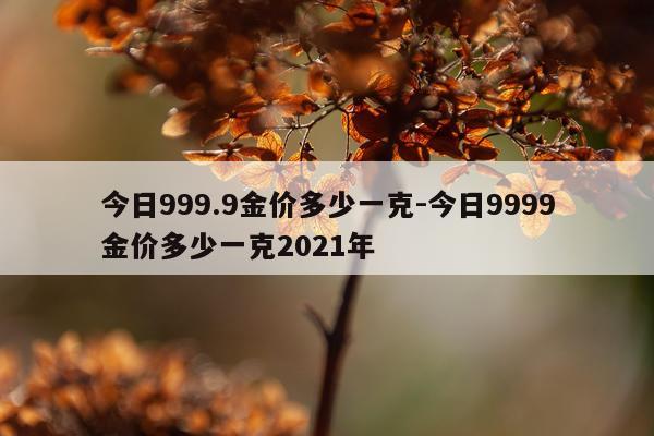 今日999.9金价多少一克-今日9999金价多少一克2021年