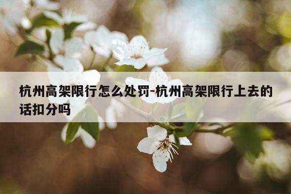 杭州高架限行怎么处罚-杭州高架限行上去的话扣分吗