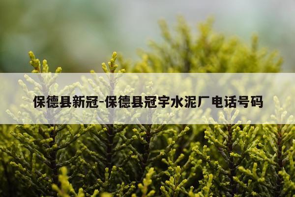 保德县新冠-保德县冠宇水泥厂电话号码