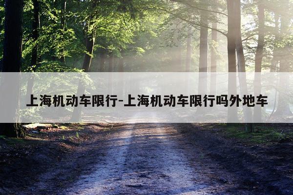 上海机动车限行-上海机动车限行吗外地车