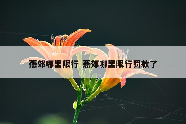 燕郊哪里限行-燕郊哪里限行罚款了