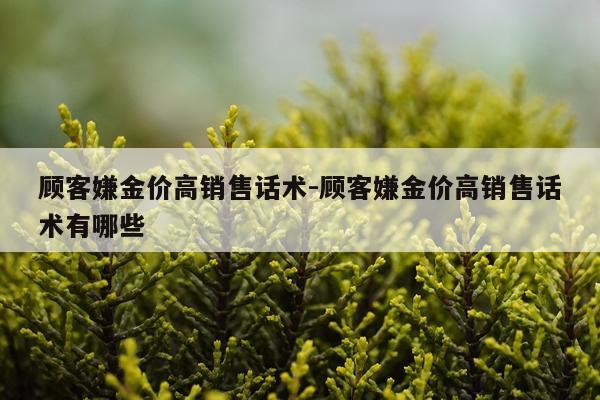 顾客嫌金价高销售话术-顾客嫌金价高销售话术有哪些