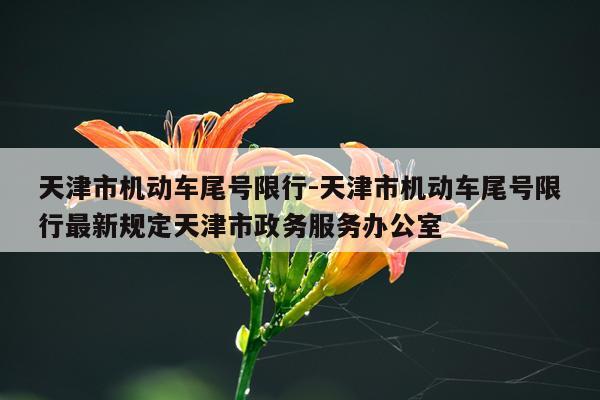 天津市机动车尾号限行-天津市机动车尾号限行最新规定天津市政务服务办公室