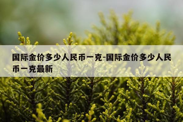 国际金价多少人民币一克-国际金价多少人民币一克最新